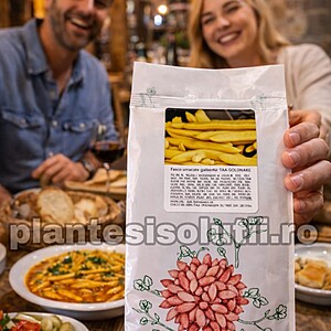 seminte de fasole Urcatoare cu Pastai Late Galbene de gradina Goldmarie, 500 gr