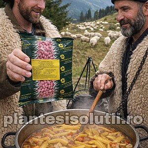 Seminte de Fasole urcătoare cu pastaia Lata -Golden Mary, 500g