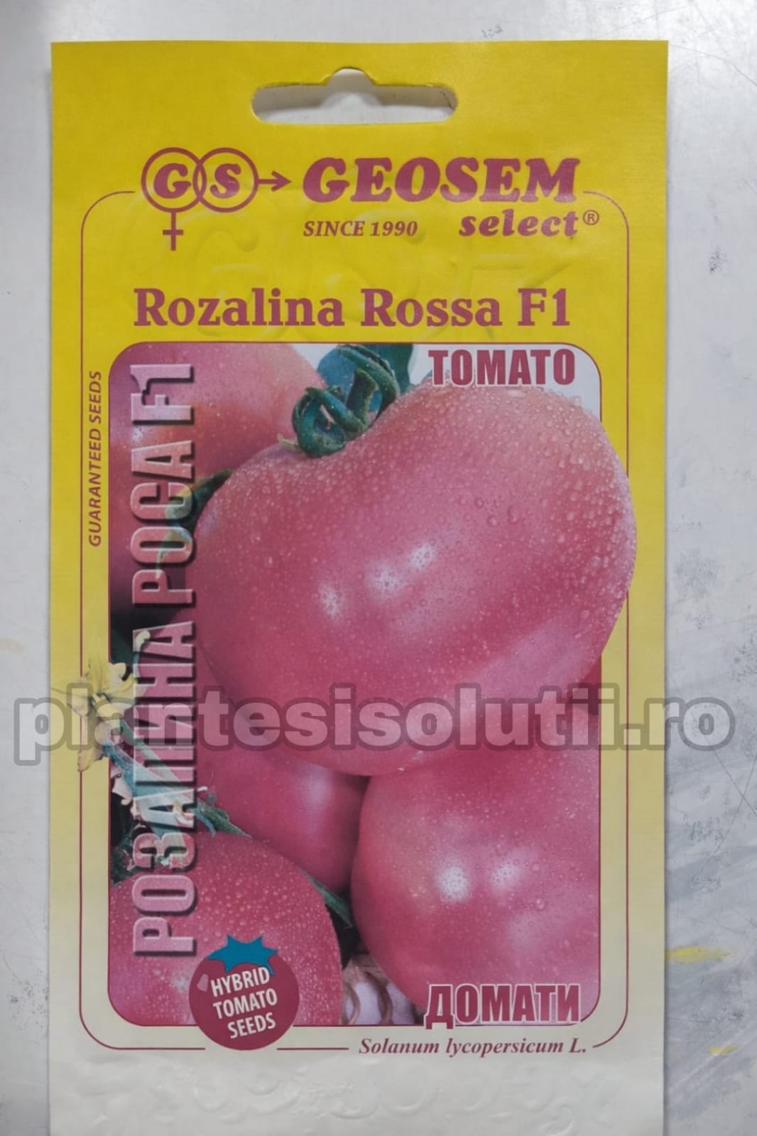 WhatsApp Image 2026-01-09 at 09.44.36 (2)