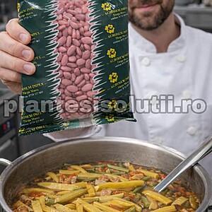 Seminte fasole urcatoare, lata, galbena Meraviglia Di Venezia, 500g