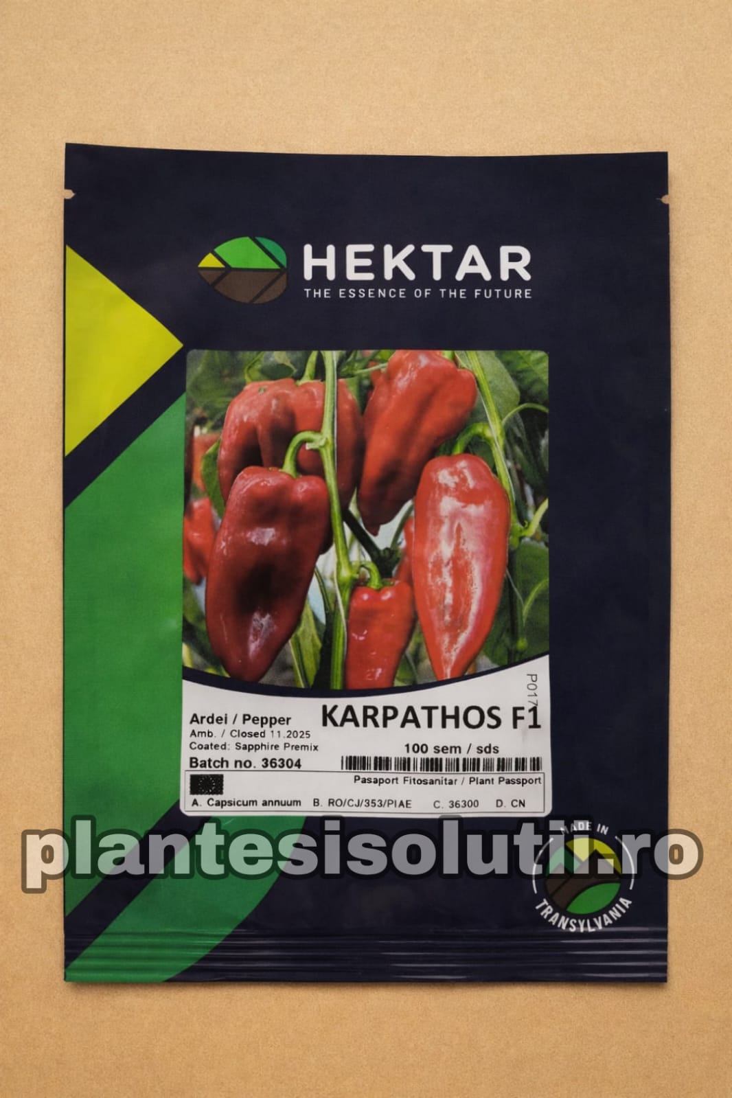 WhatsApp Image 2026-01-09 at 09.44.37 (1)