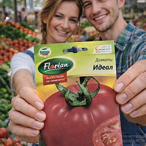 Seminte Tomate Ideal ( foarte gustoase ) ,1gr