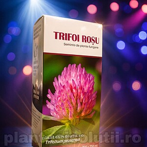 Semințe de Trifoi Roșu cu productivitate ridicată