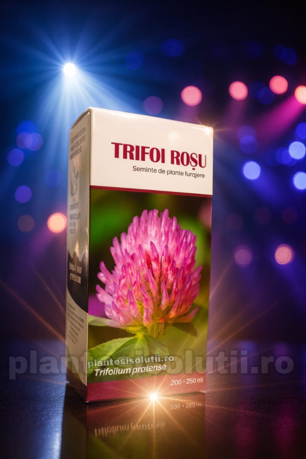 WhatsApp Image 2026-01-09 at 17.07.52 (2)