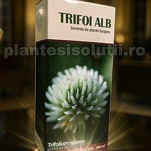 Semințe Trifoi Alb pentru grădini rustice, întreținere redusă și furaj