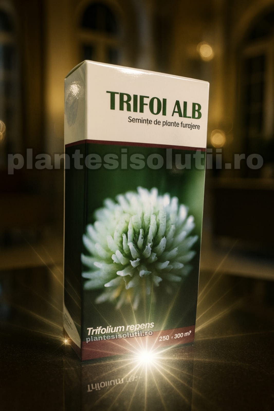 WhatsApp Image 2026-01-09 at 17.07.52 (3)