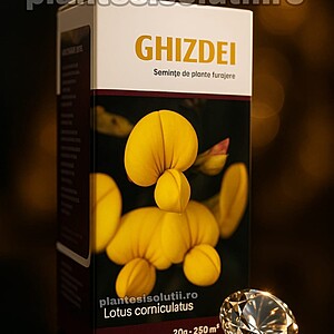 Semințe de Ghizdei pentru zone montane și submontane