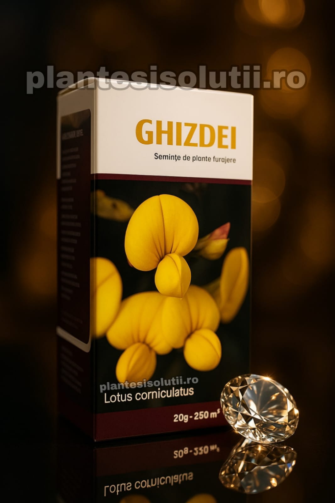 WhatsApp Image 2026-01-09 at 17.07.52 (4)