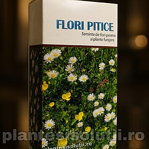 Semințe Flori Pitice, amestec decorativ cu flori anuale, perne și trifoi