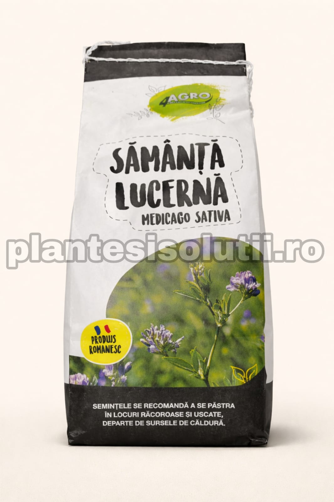 WhatsApp Image 2026-01-10 at 13.54.49 (3)