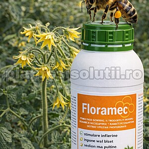 Ingrasamant Foliar Floramec