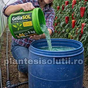 Ingrasamant GELIASOL 5 KG