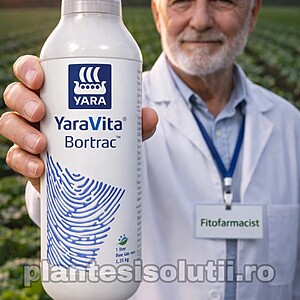 Ingrasamant Yara Vita Bortrac   1L