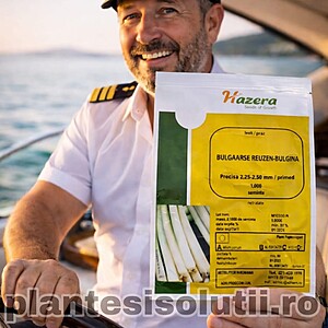 Seminte de praz Bulgina F1, 1000 seminte