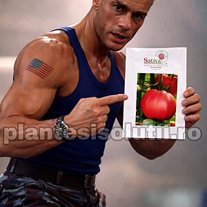 Seminte de tomate SILVANO F1, 500 sem