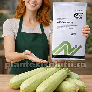 Seminte de dovlecel Ardendo F1, 500 seminte