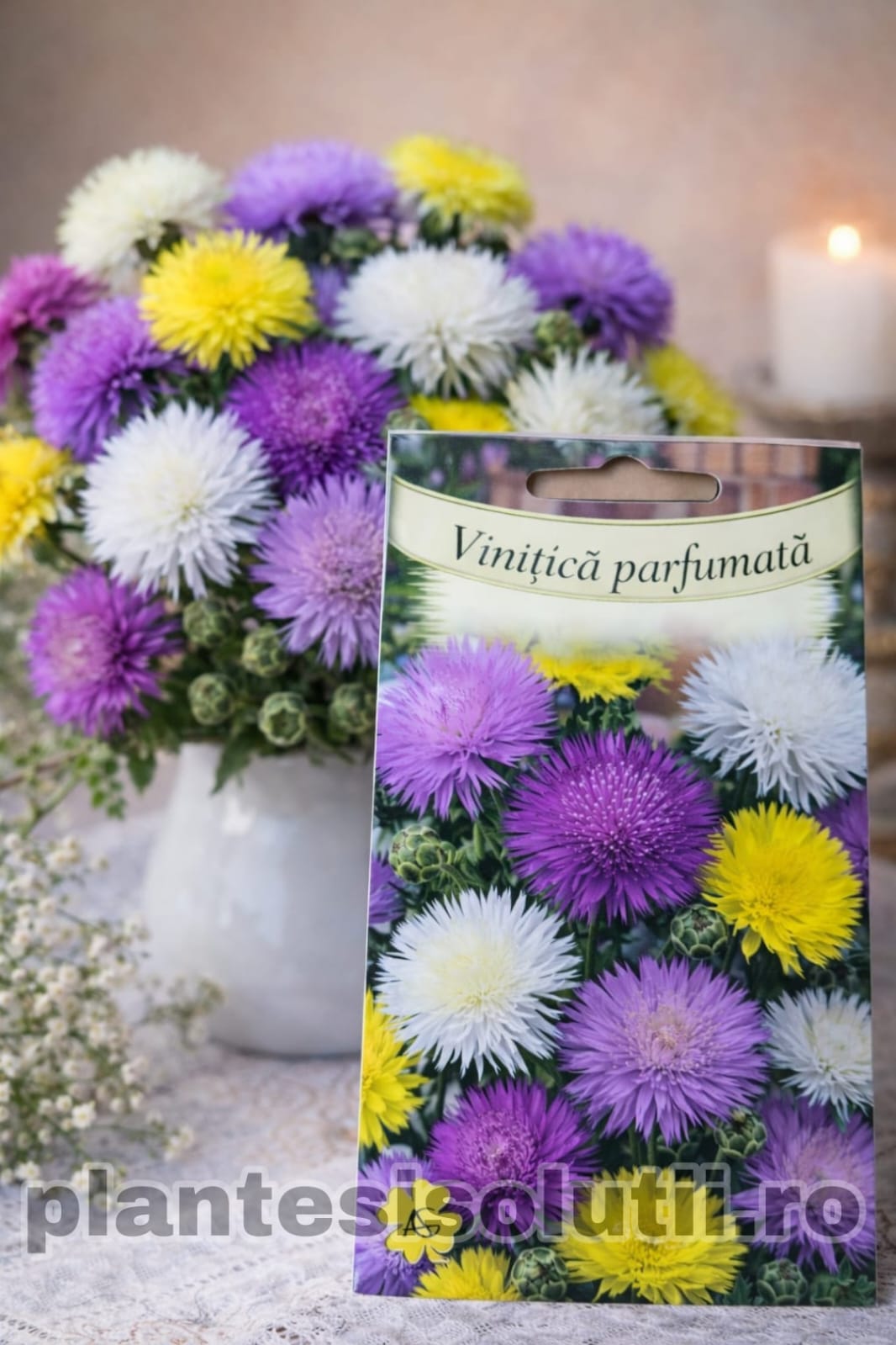 WhatsApp Image 2026-01-17 at 18.36.03 (2)