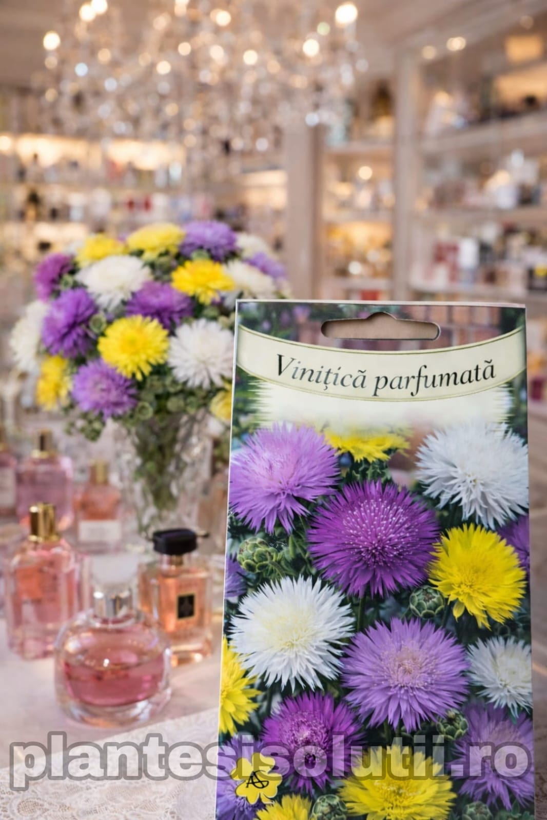 WhatsApp Image 2026-01-17 at 18.36.03 (3)