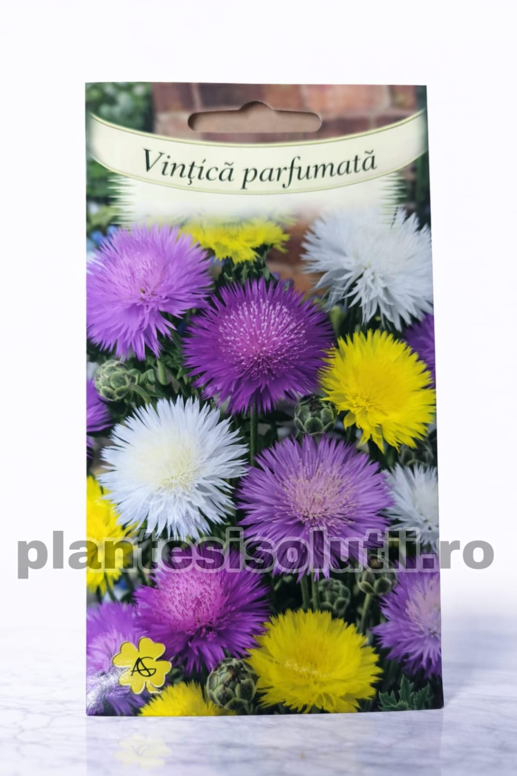 WhatsApp Image 2026-01-17 at 18.36.03