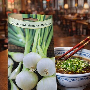 Seminte de Ceapa verde timpurie Barletta