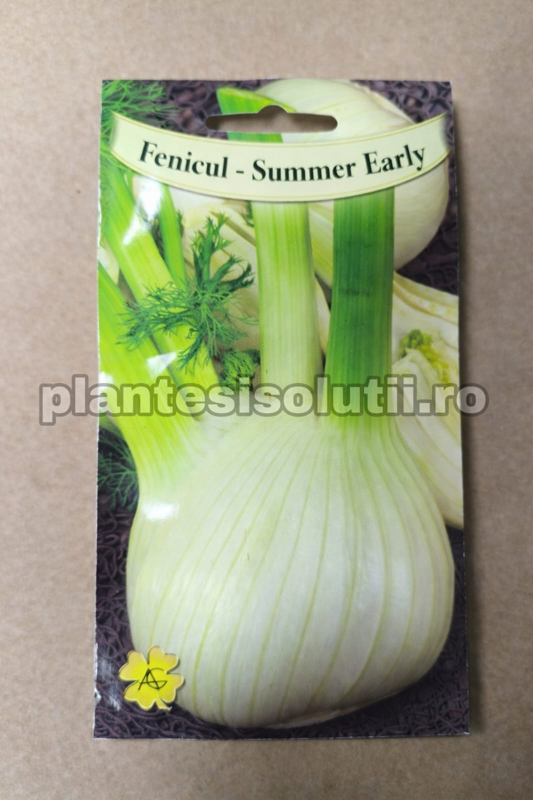 WhatsApp Image 2026-01-17 at 20.52.43