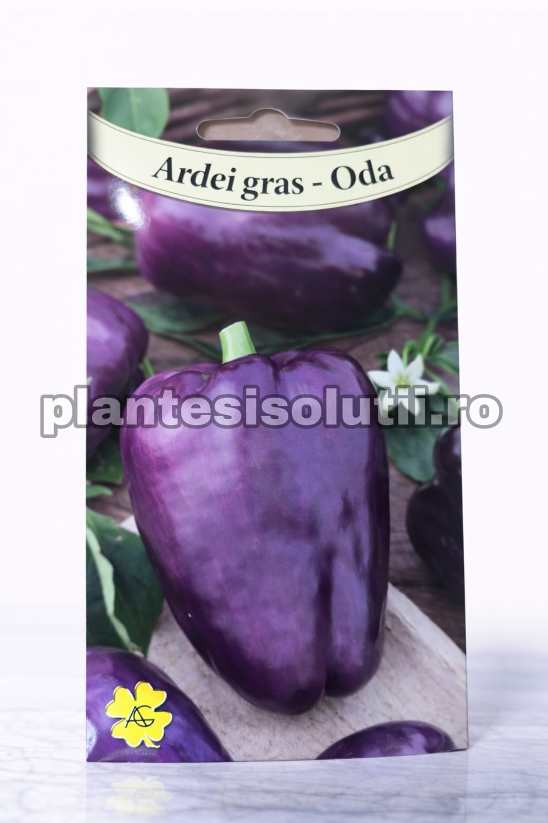 WhatsApp Image 2026-01-17 at 22.01.24 (1)