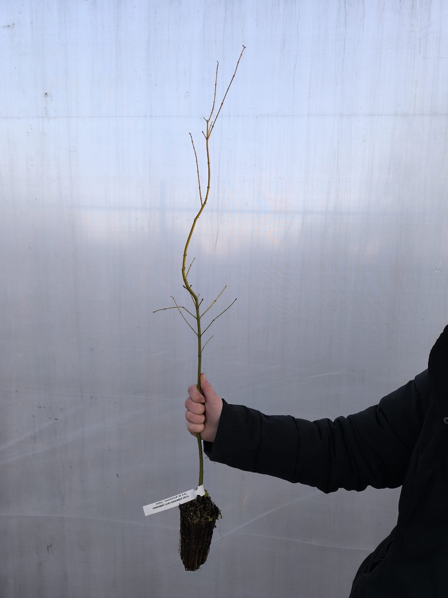 WhatsApp Image 2026-01-20 at 16.42.04