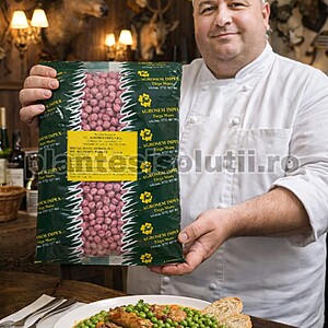 Mazăre de gradina- Kelvedon Wonder, 900g