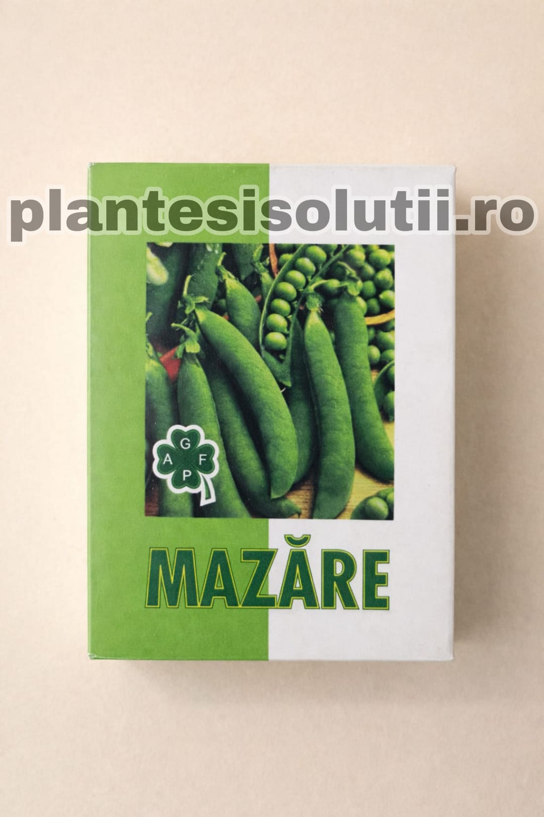 WhatsApp Image 2026-01-21 at 11.21.58