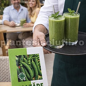 Mazăre de gradina- Kelvedon Wonder, 400g