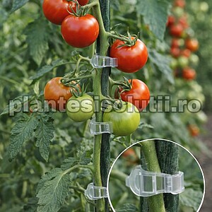 Clipsuri palisare rosii si alte legume 23 mm - 100 buc