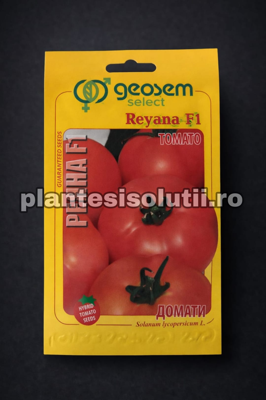 WhatsApp Image 2026-01-21 at 16.48.17 (3)