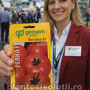 Seminte Tomate Reyana F1, 250 sem