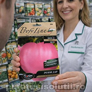 Seminte Tomate Rozov Dar (Dar Roz), 250 sem.