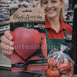 Seminte de tomate Siyana F1, 500 sem