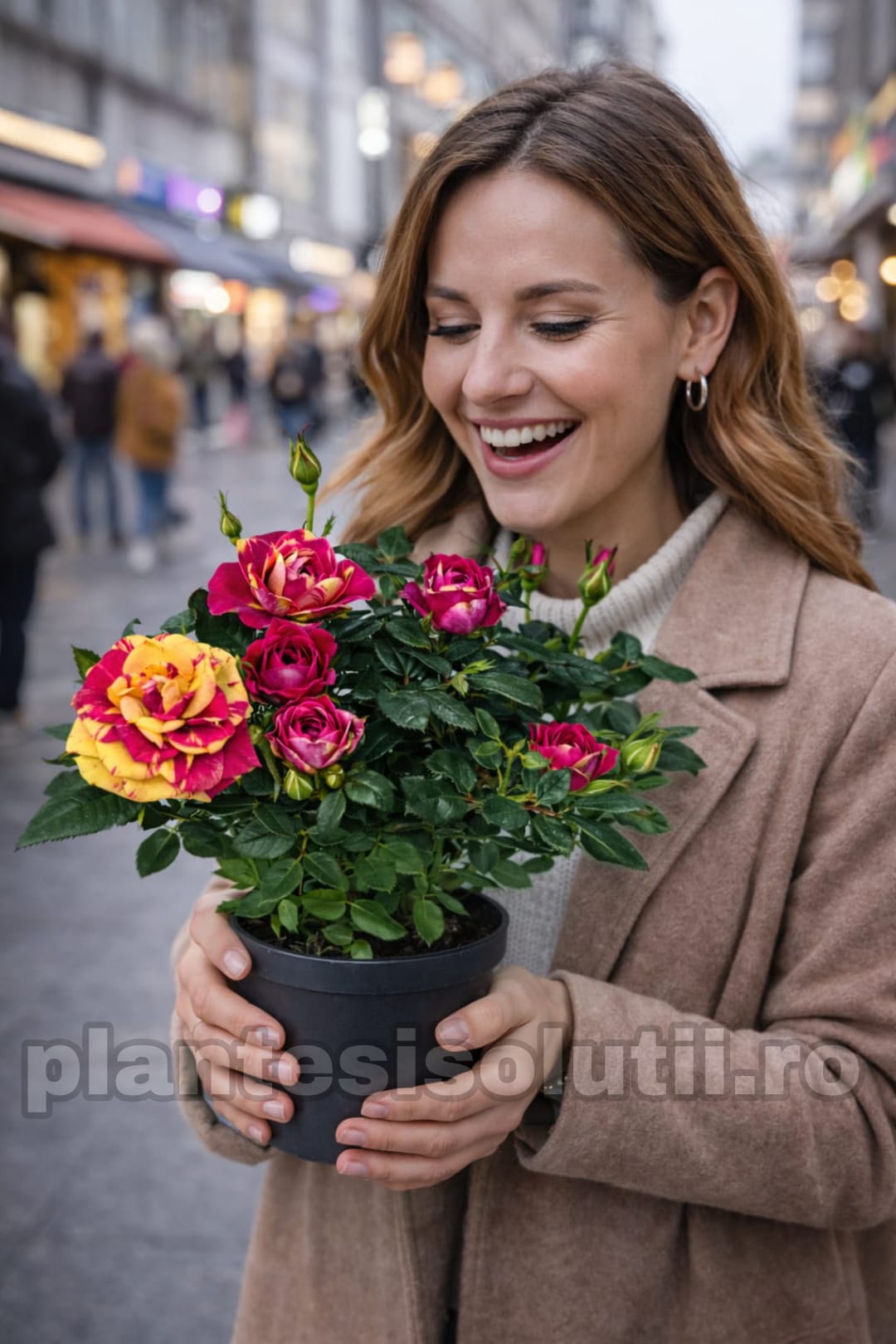 WhatsApp Image 2026-01-23 at 13.52.43 (6)