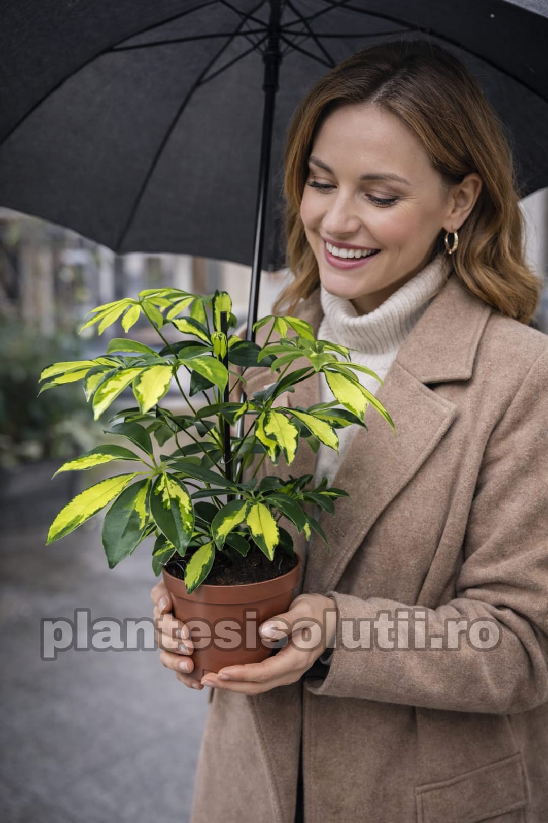 WhatsApp Image 2026-01-23 at 13.52.43