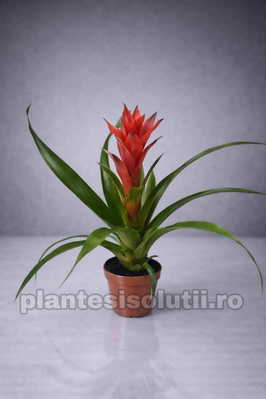 WhatsApp Image 2026-01-23 at 13.52.44 (4)