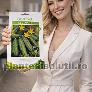 Seminte de castraveti cornichon Levina F1, 5g (aprox  150-160 seminte)