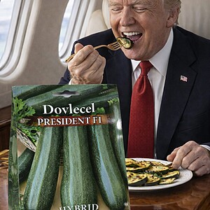 Seminte de Dovlecel zucchini President F1, 3,5g (aprox 25 seminte)