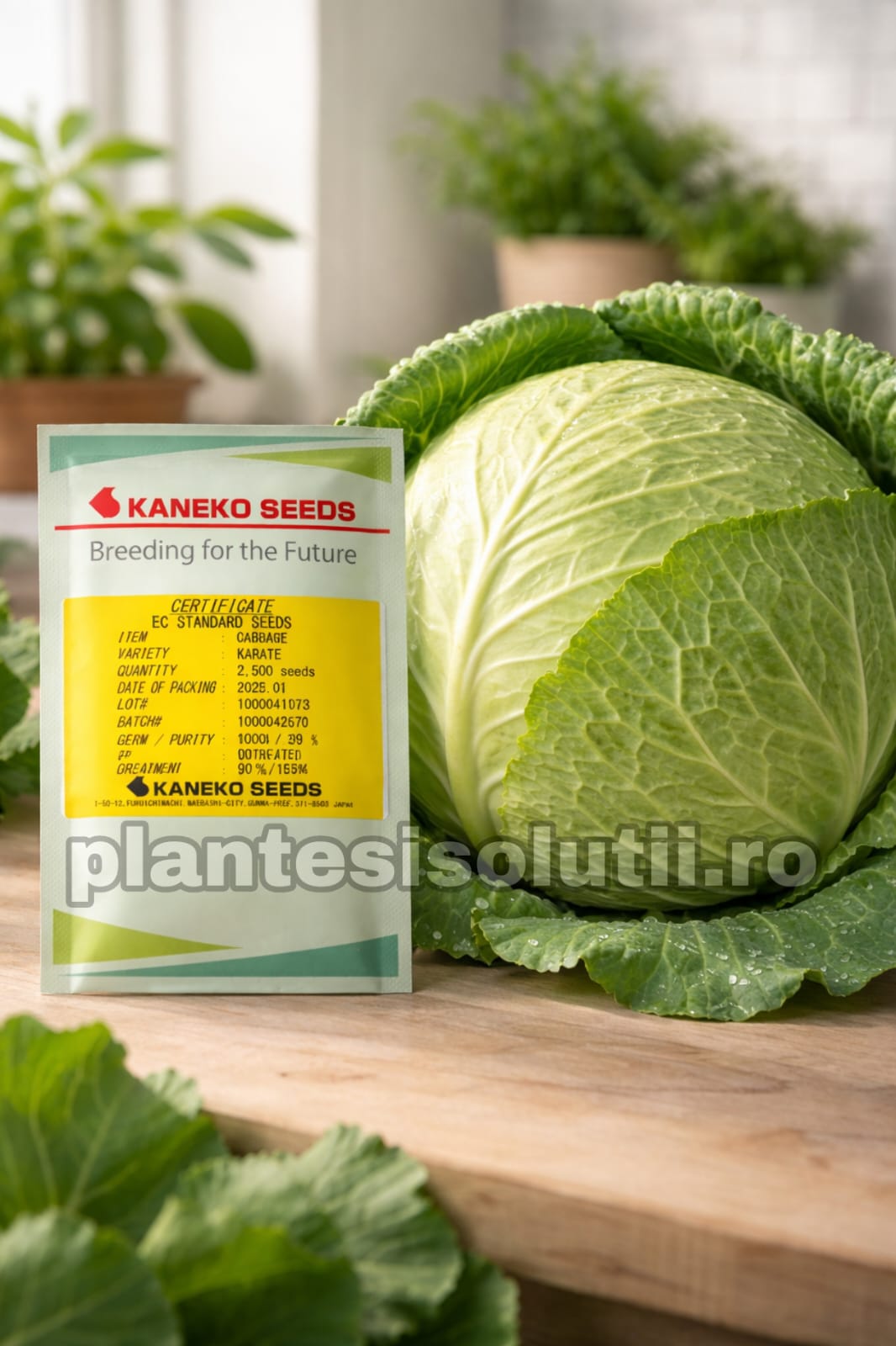 WhatsApp Image 2026-02-02 at 07.51.58