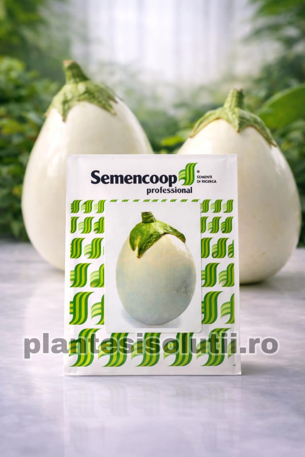 WhatsApp Image 2026-02-02 at 07.52.01 (1)