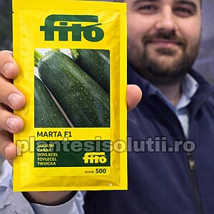Seminte de dovlecel Marta F1, 500sem ( tip Zucchini )
