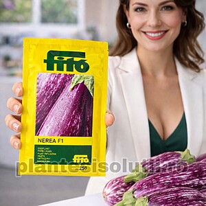 Seminte de vinete Nerea F1, 250 sem