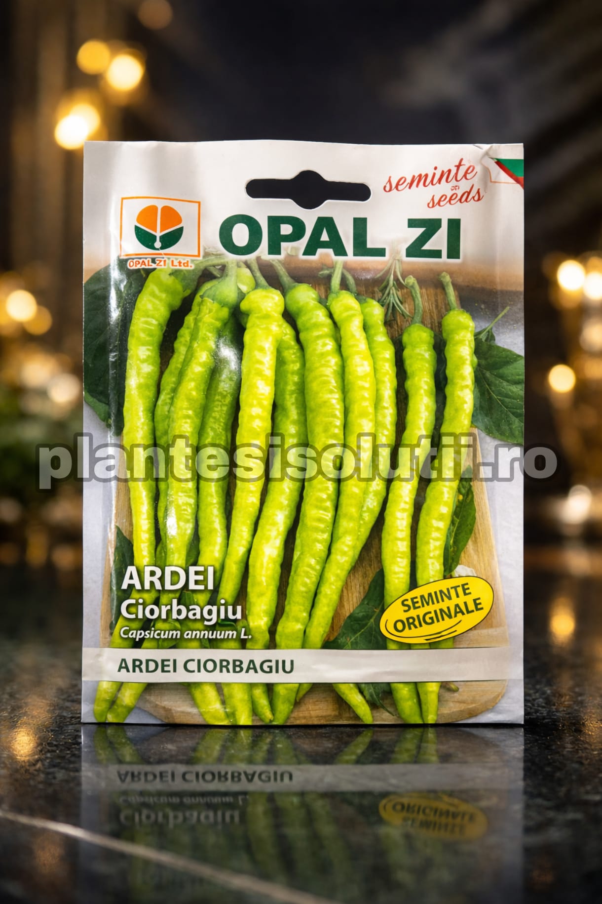 WhatsApp Image 2026-02-02 at 15.53.01 (1)