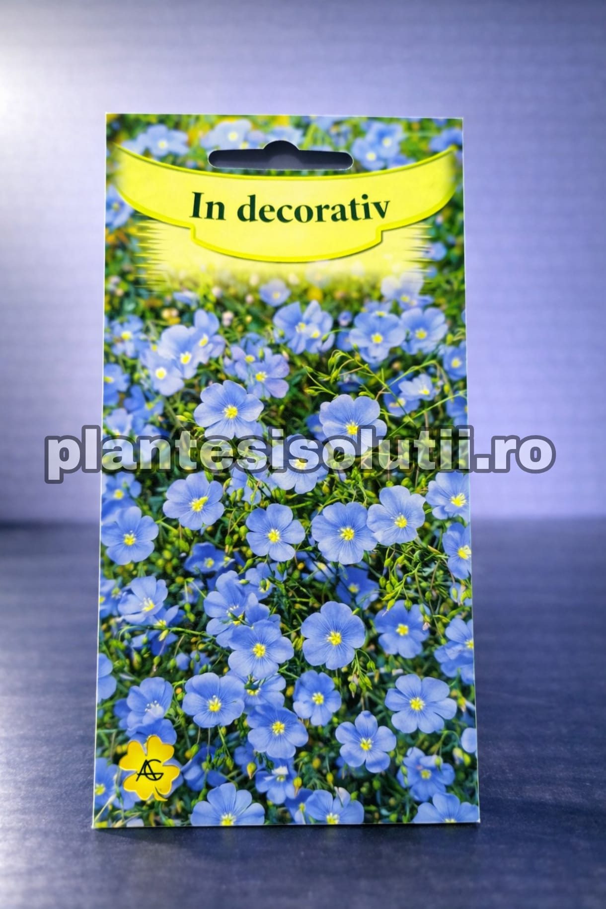 WhatsApp Image 2026-02-04 at 09.04.55 (2)