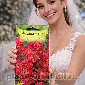 Seminte de Mixandre Rosii