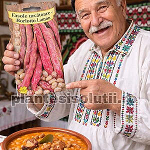 Seminte de Fasole urcătoare - Borlotto Lamon