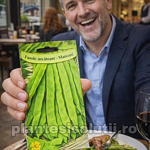 Seminte de fasole urcatoare verde lata Marconi