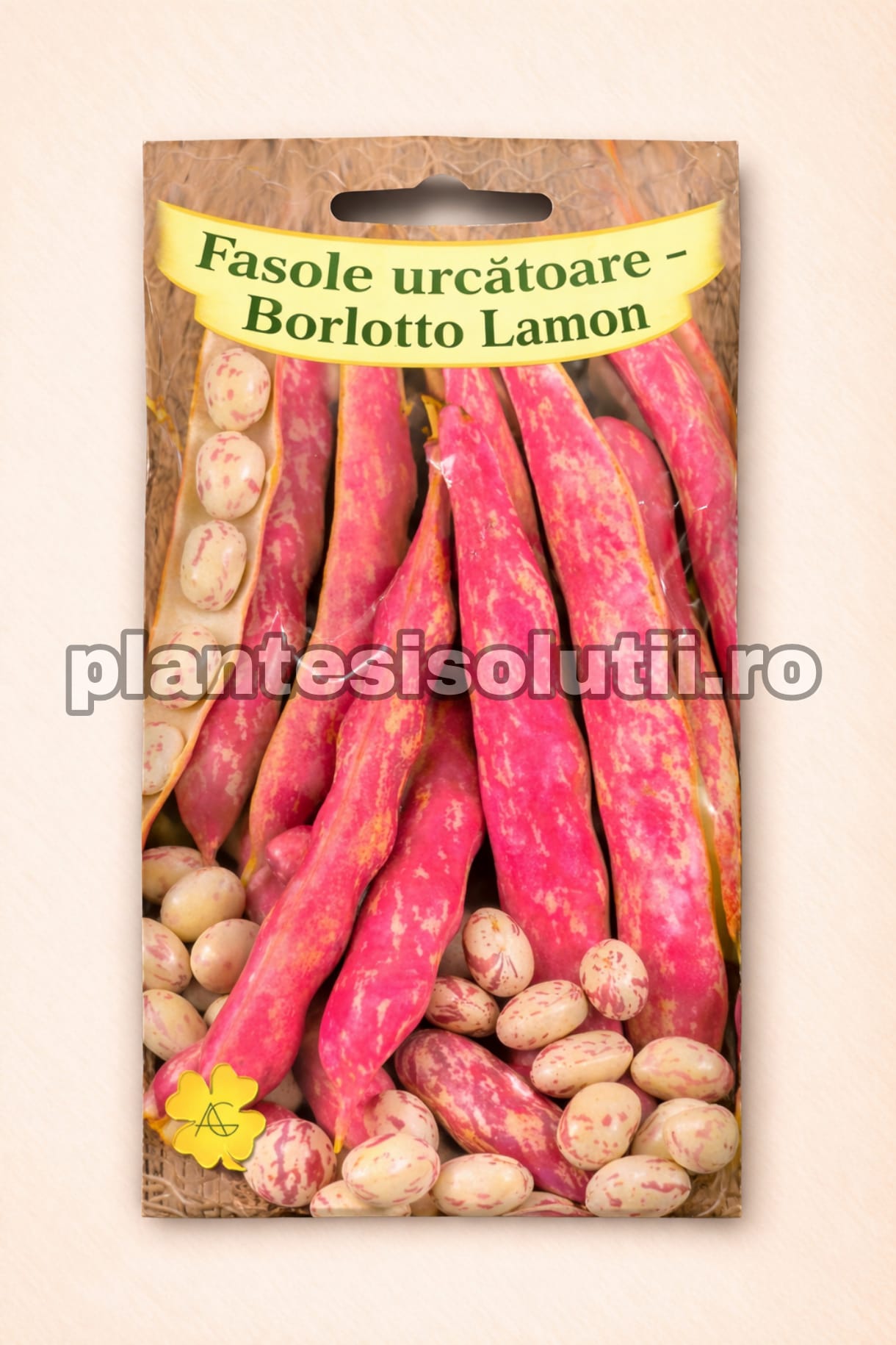 WhatsApp Image 2026-02-04 at 09.26.30 (1)